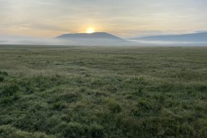 IMG_4356